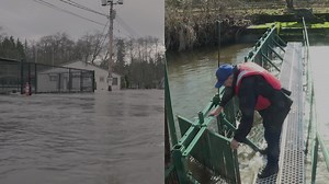 Salmon hatchery moves to higher ground after flooding