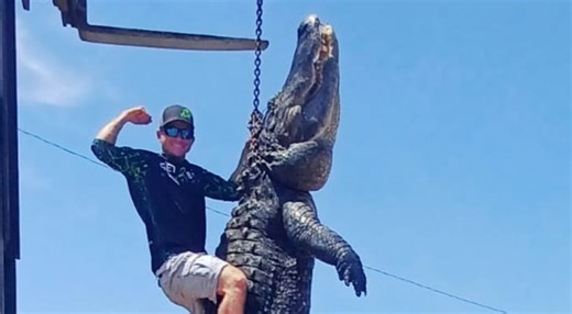 Florida Hunters Bag 900-Pound Alligator, One Of The Largest Ever Recorded In The State: “I Thought I Was Gonna Die” | Whiskey Riff