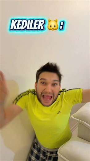 Dogs vs. cats: toilet habits