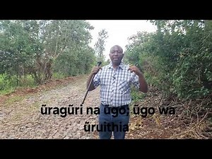 Nĩ kũrĩngũrani ya ũragũri na ũgo? Tũrore ũgo wa ũruithia.