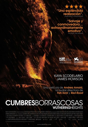 Cumbres borrascosas - película: Ver online en español