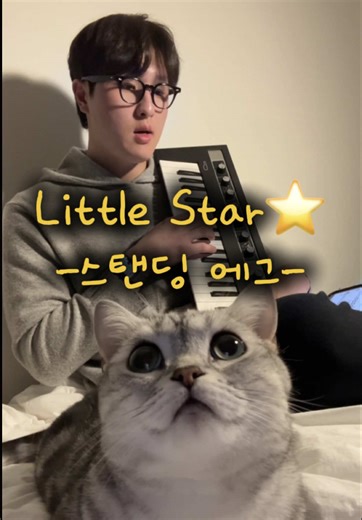 Little Star ⭐️ Cat Song Cover