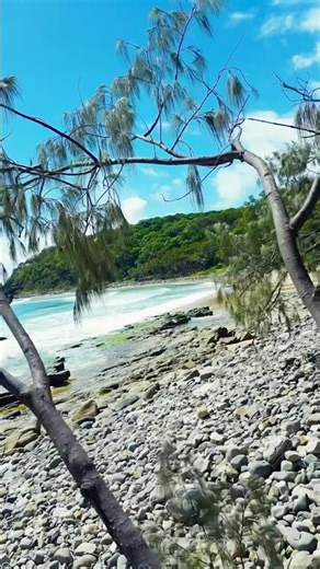 Beauty of Noosa #travel #lifeisbutadream #nature