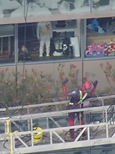 Armed with squeegees and smiles, window washers dressed up as popular superheroes hopped on their scaffolding and put on a show for patients at Lucile Packard Children's Hospital Stanford.