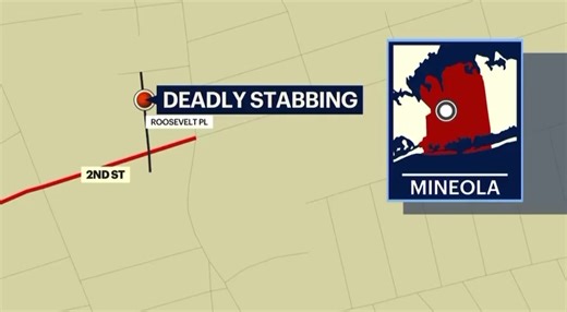 Dapper Detective @Dapper_Det BREAKING: 15-year-old illegal alien arrested for murder on Long Island. Police say the 32-year-old victim was repeatedly stabbed to death. 11:18 AM · Jul 12, 2025 | Texans For Arizona's New Immigration Law