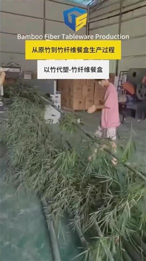 Biodegradable container equipment, go sustainable now.#BiodegradableContainers #SustainablePackaging