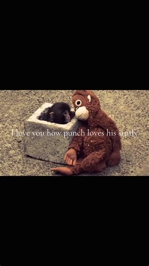 Unique Love Expressions in Relationships