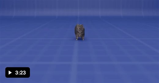 How cats work - Video