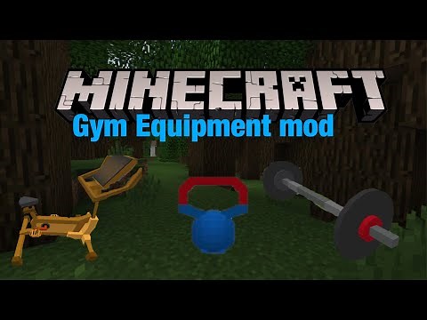 Minecraft (Gym Equipment mod)