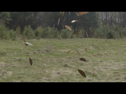 Simple Leaves Falling Animation