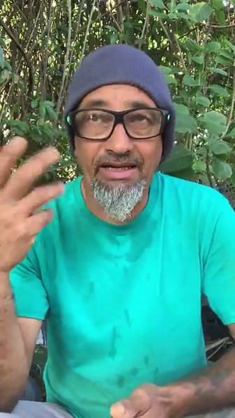 80K views · 5.1K reactions | Cancer - azúcar —Hierro - Artemisia vulgaris- Artemisia annua Parte 1 https://www.naturessunshine.com/?rstr=yerberito | El Yerberito | Facebook