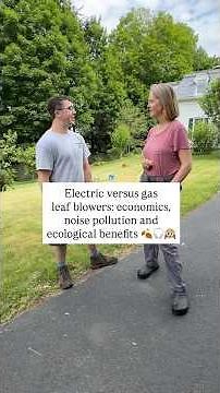 Leaf Blowers And Landscapers: Gas Or Electric