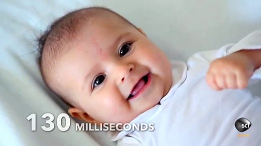 Lesson of the Day: ‘How to See Faces Everywhere’