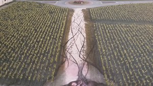 10K views · 515 reactions | I am honored to present my most recent...