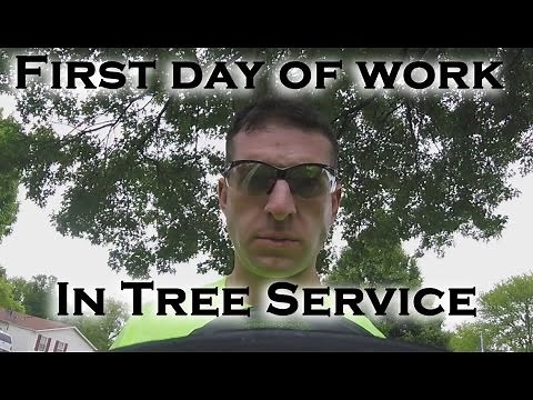First day of work at the new job in tree service