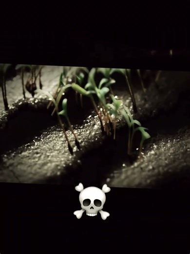 Minecraft rtx with potato PC 💀 #minecraft #minecraftrealistic #minecraftpc #minecrafttrtx