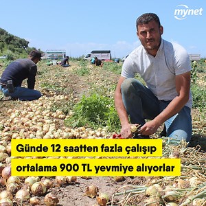 Günde 12 saatten fazla çalışıp ortalama 900 TL yevmiye alıyorlar | Mynet