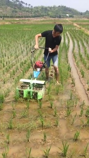 Weeder for both paddy field and dry land