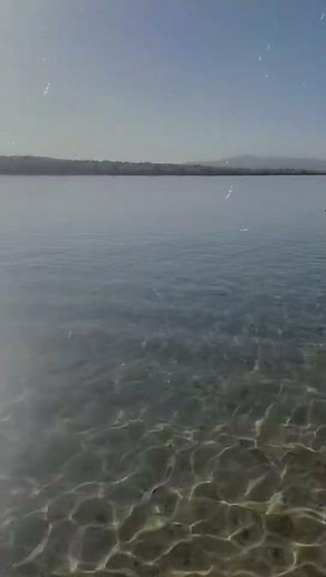 Inside Pirate Cove Resort in Needles, CA 🌴 Hidden Colorado River Paradise!