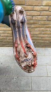 27K views · 79 reactions | How to clean adidas F50’s using a Boot Buddy 欄 | The Boot Buddy | Facebook