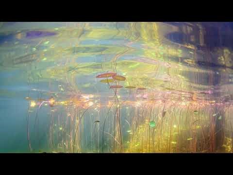 scientifically accurate weight loss subliminal (loop for strong effect,suppresses appetite)