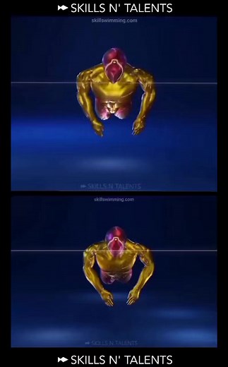 204K views · 2.2K reactions | How do you swim butterfly? Here we show you the stroke from different angles | Skills N Talents | Facebook