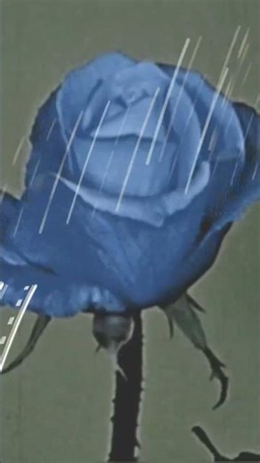 over & over again...| #edit #ambient #ambientmusic #shorts #shortvideo #newmusic #viral #alone