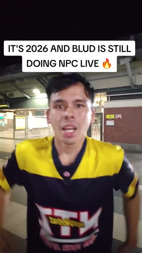 Exploring the Phenomenon of NPC Live Streaming