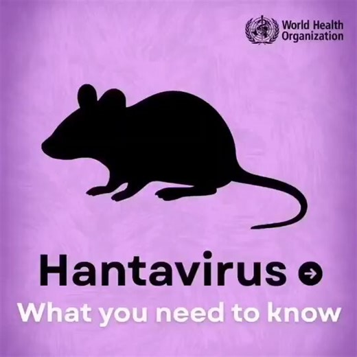 Please read and share. Someone on your timeline might need it. HANTA VIRUS: What You Need to KnowFirst, a quick background. Hantavirus is not a new virus. It was first discovered near the Hantan River in South Korea in the 1950s. Different versions of it exist around the world. The Andes strain is one of the most concerning because it is one of the few that can very rarely spread from person to person.A Recent Outbreak That Should Get Our AttentionOn May 2, 2026, the WHO confirmed a Hantavirus o