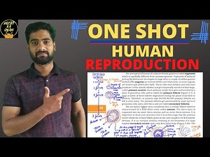 Human Reproduction in One Shot||CBSE class 12 Biology||NCERT Explanation.