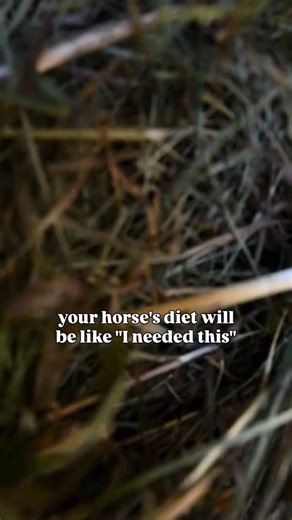 The 1 product that will make a world of difference! ✅ Encapsulated probiotics so that the benefical probiotics actually reach your horse's gut! ✅ Combines probiotics with prebiotics for better support! ✅ Added vitamins, proteins & minerals associated with digestive health & function! ✅ Natural Vitamin E too! If you're tired of not seeing a difference with single active ingredient products, it might be time to use a comprehensive digestive health supplement like our Pre Probiotic! See the #Genuin