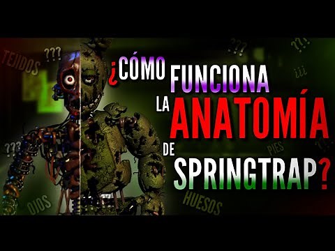 ¿Cómo Funciona La ANATOMÍA De SPRINGTRAP?