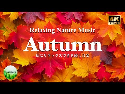 Relaxing Autumn BGM｜Calming Piano｜River Babble, Birdsong | Work, Study, Focus | Sleep, Stress Relief