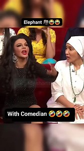 168K views · 4.3K reactions | Elephant...