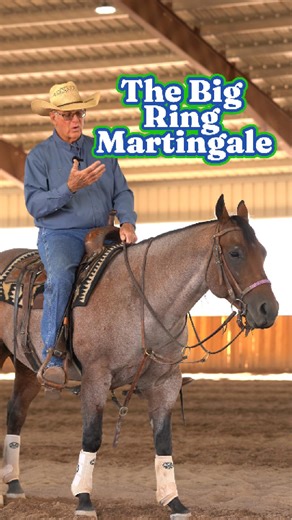 A simple piece that solves real problems. My Big Ring Martingale (Al Dunning Collection by Schutz Brothers) uses oversized rings so it won’t hang up on your bit or reins, and a single adjustment so you can fit it fast and ride. Clean, reliable feel that helps keep a horse honest without getting in the way. 👉 Visit www.AlDunning.com to shop now! #AlDunning #ADTack #BigRingMartingale #SchutzBrothers #Horsemanship #Reining #CowHorse #Cutting #ShowPenReady | Al Dunning