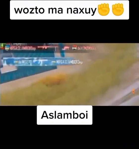 de Senator on TikTok