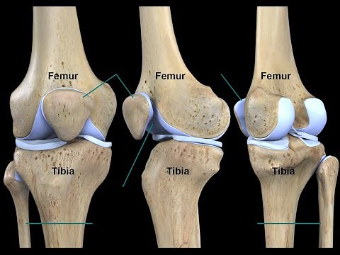 KNEE COMPLEX- PART 1# TIBIO-FEMORAL JOINT