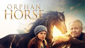 Orphan Horse (2018)