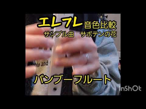 電子リコーダー「エレフエ」の音色比較 サボテンの花