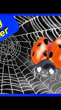 Ladybug vs Spider FIGHT - Who Will WIN??? (BATTLE)