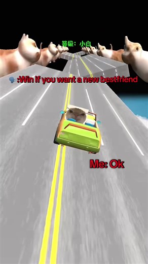 Finding Your New Best Friend: A Guide