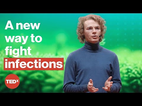 The social lives of viruses | Asher Leeks | TEDxNewEngland