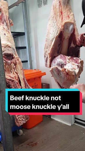 Understanding Beef Knuckle and Round Steak Cuts