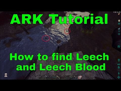 ARK Survival - How to find a Leech (Leech Blood)