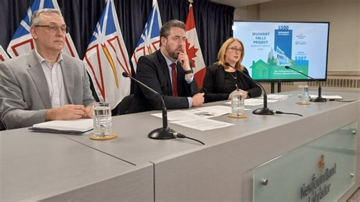 N.L. Hydro to subsidize power rates — to the tune of $2 billion for next 6 years | CBC News