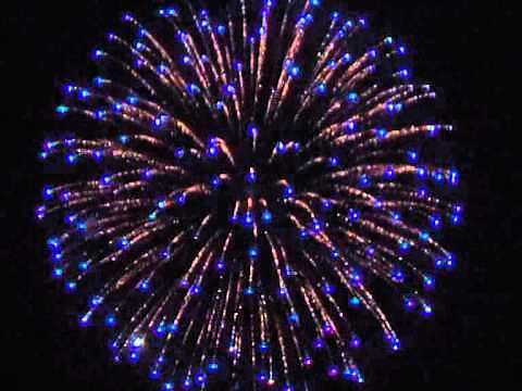 Firework Shell - Silver Wave to Blue Tips & Purple to Green Pistil