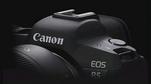 【佳能EOS R5】官宣最高29.97fps 8K无裁切全像素双核自动对焦，支持动物检测自动对焦，真香！！！