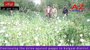 13K views · 273 reactions | Continuing the drive against poppy in...