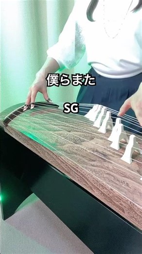 「僕らまた／SG」【箏で】（Covered by 薫風之音）