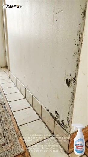 Eco-Friendly Mold Remover Spray for Home
